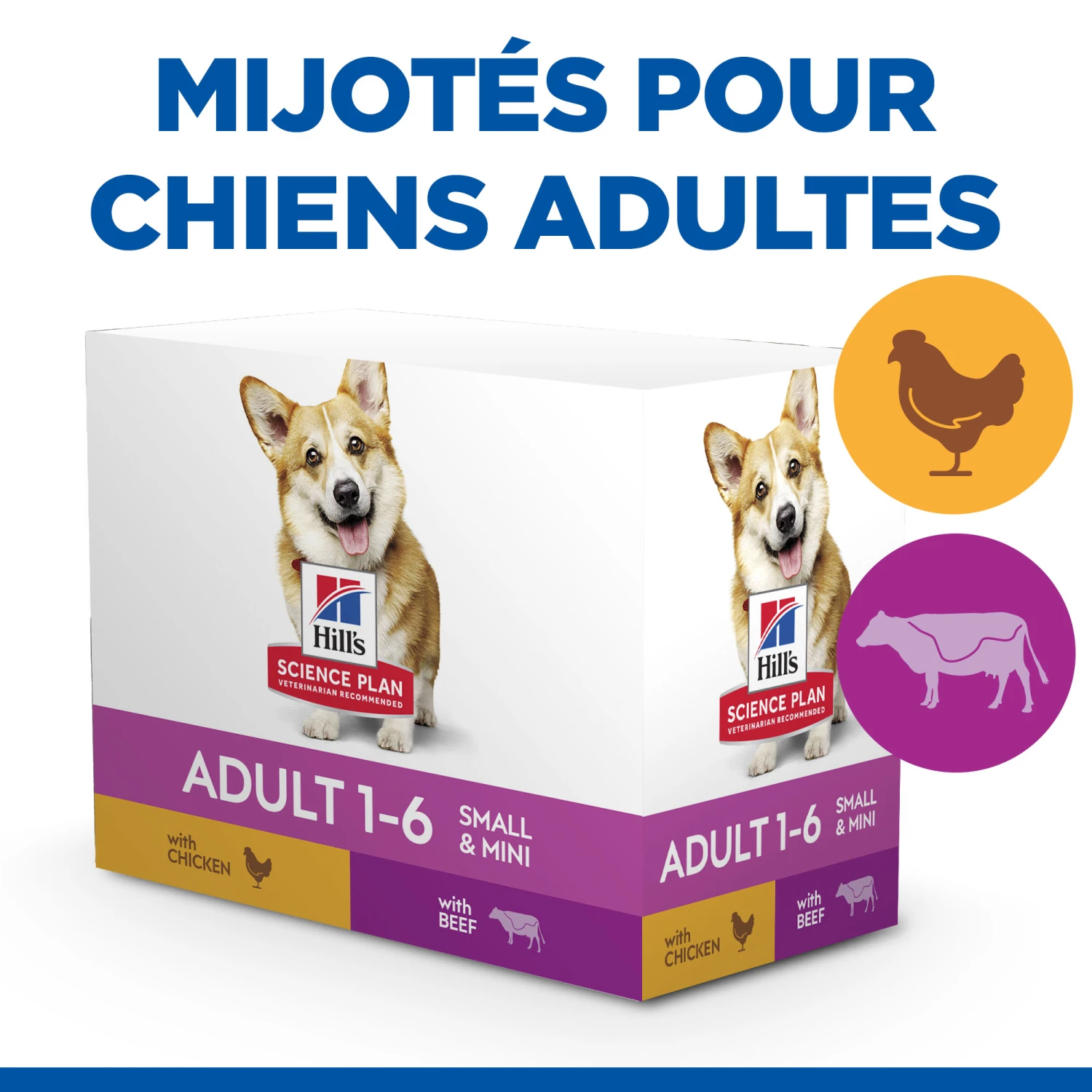HILL'S SCIENCE PLAN HEALTHY CUISINE MIJOTÉS POUR CHIEN ADULTE SMALL & MINI AU POULET ET AU BŒUF 12X80G 2 HILL'S SCIENCE PLAN HEALTHY CUISINE MIJOTÉS POUR CHIEN ADULTE SMALL & MINI AU POULET ET AU BŒUF 12X80G – Image 2
