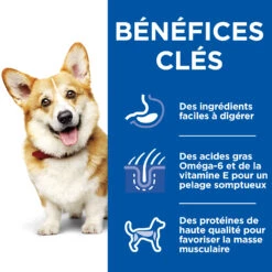 HILL'S SCIENCE PLAN HEALTHY CUISINE MIJOTÉS POUR CHIEN ADULTE SMALL & MINI AU POULET ET AU BŒUF 12X80G 17 HILL'S SCIENCE PLAN HEALTHY CUISINE MIJOTÉS POUR CHIEN ADULTE SMALL & MINI AU POULET ET AU BŒUF 12X80G -Chien Fournitures Boutique Hill s science plan chien adult healthy cuisine mijotes sachet repas poulet boeuf 12x80g 8 FR