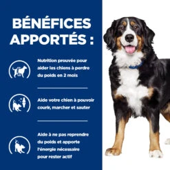 HILL'S PRESCRIPTION DIET METABOLIC + MOBILITY GESTION DU POIDS BOÎTES POUR CHIEN 12X370G 6 HILL'S PRESCRIPTION DIET METABOLIC + MOBILITY GESTION DU POIDS BOÎTES POUR CHIEN 12X370G -Chien Fournitures Boutique Hills prescription diet chien metabolic mobility boites poulet 2 FR