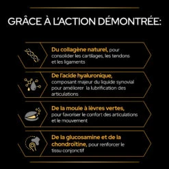 Purina PRO PLAN MOBILITY+ CHIEN ALIMENT COMPLEMENTAIRE - 60G -Chien Fournitures Boutique PRO PLAN MOBILITY DOG SUPPLEMENT 60G 6 FR