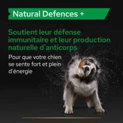 Purina PRO PLAN NATURAL DEFENSES+ CHIEN ALIMENT COMPLEMENTAIRE - 67G 16 Purina PRO PLAN NATURAL DEFENSES+ CHIEN ALIMENT COMPLEMENTAIRE - 67G -Chien Fournitures Boutique PRO PLAN NATURAL DEFENCES DOG SUPPLEMENT 67G 5 FR