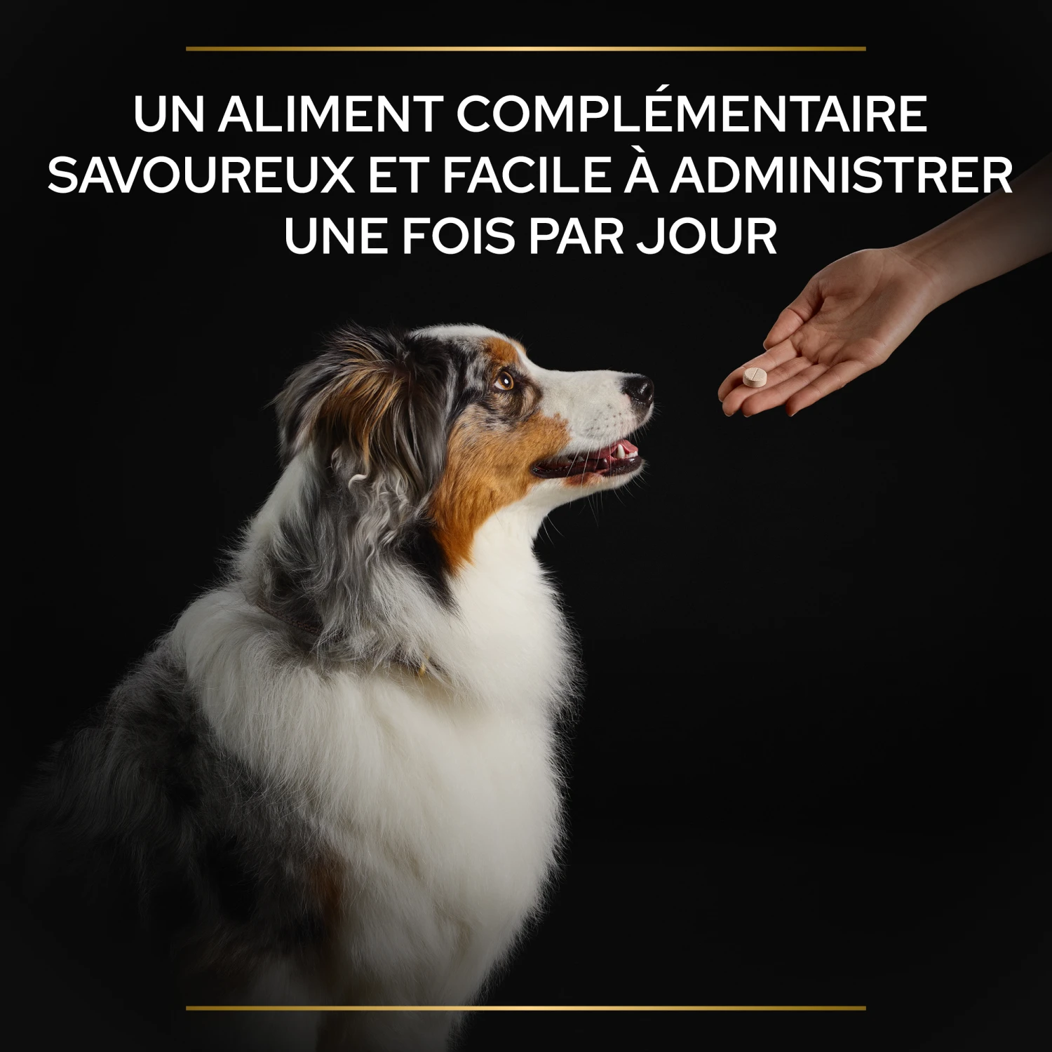 Purina PRO PLAN NATURAL DEFENSES+ CHIEN ALIMENT COMPLEMENTAIRE - 67G 8 Purina PRO PLAN NATURAL DEFENSES+ CHIEN ALIMENT COMPLEMENTAIRE - 67G – Image 8
