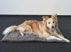 Flamingo Coussin Cuddly Plat Rectangulaire Taupe 85,5x51x2cm -Chien Fournitures Boutique a4786eba1a7de2cc9ddc5f3f610a55677acd27983c0428209d2a3e502232cc72 scaled