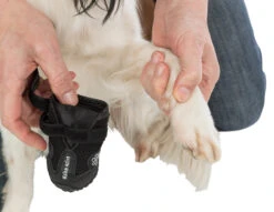 Trixie Chaussures De Protection Walker Active / M-L 2pcs. -Chien Fournitures Boutique a9ed7403e7270fba9cbe0c569267f57bb704d33b769ec1a5458f95b1bf0c54e0 1