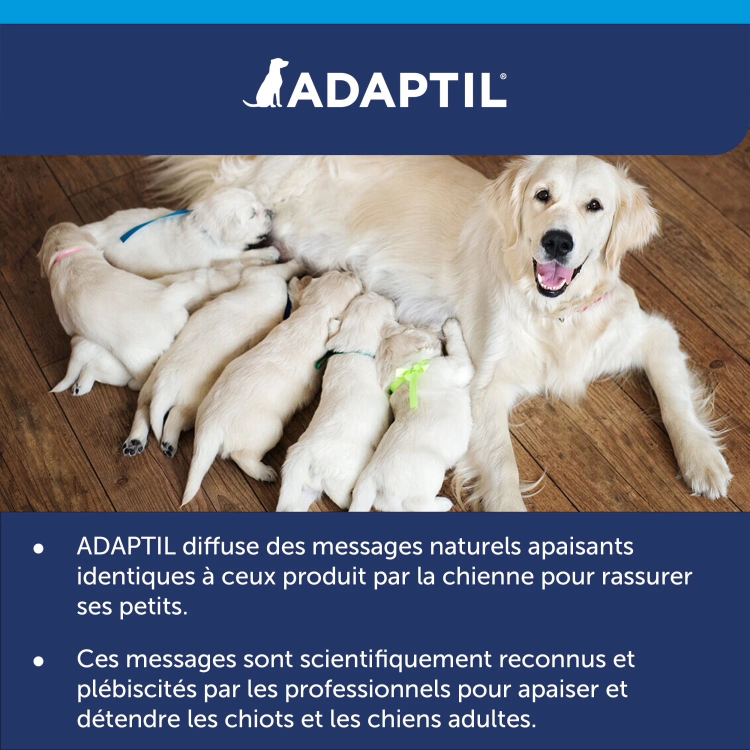 Diffuseur Adaptil Calm 9 Diffuseur Adaptil Calm – Image 9