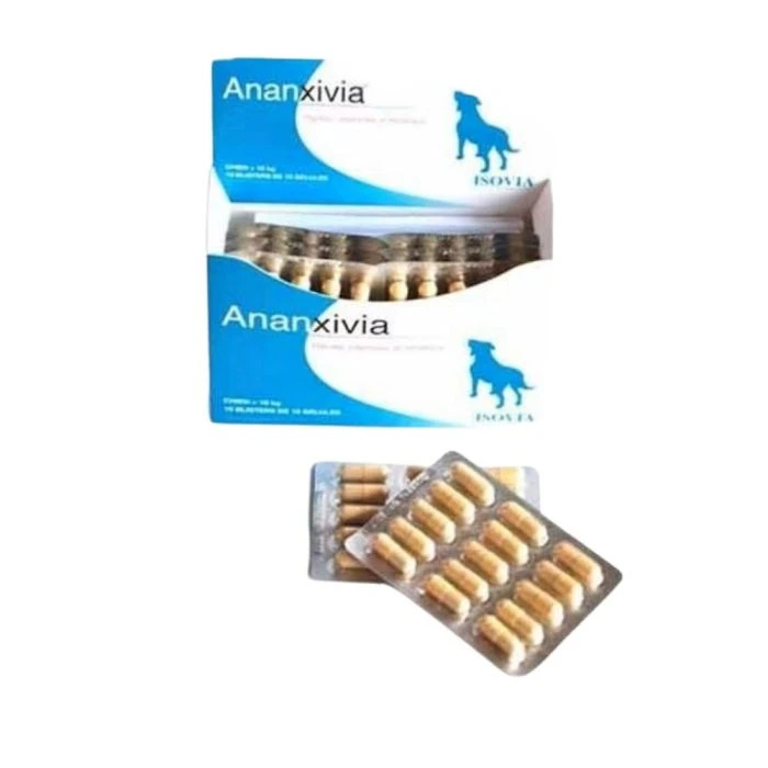 ANANXIVIA Grand Chien 10 Blisters De 15 Gélules 1 ANANXIVIA Grand Chien 10 Blisters De 15 Gélules