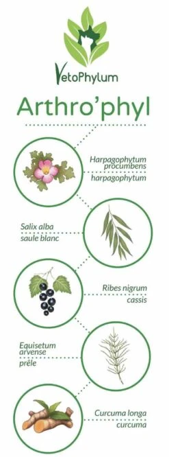 Arthro'Phyl -Chien Fournitures Boutique arthrophyl4