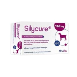 SILYCURE 160mg 75 Comprimés