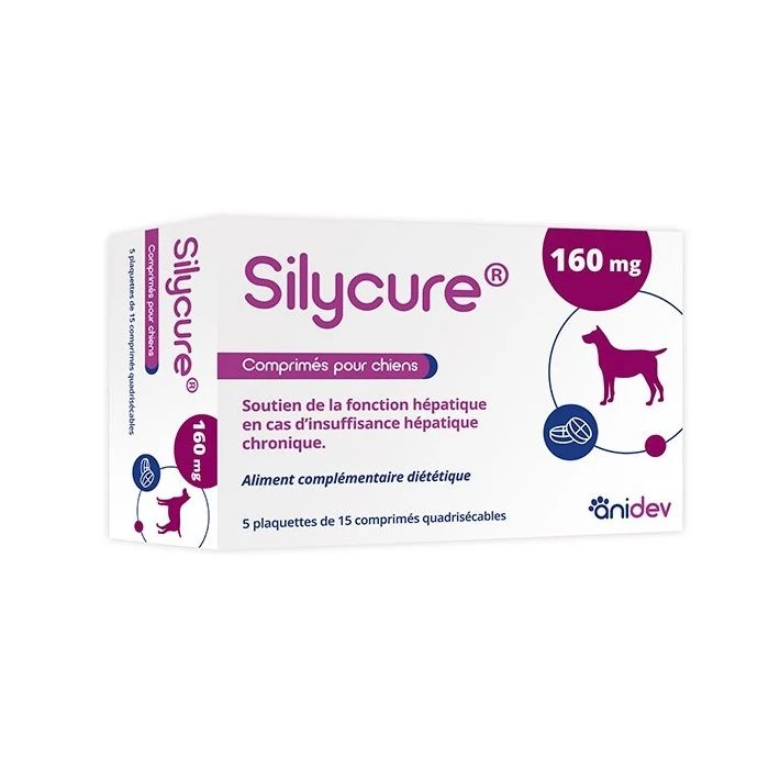 SILYCURE 160mg 75 Comprimés 1 SILYCURE 160mg 75 Comprimés