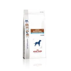Royal Canin Gastro Intestinal Moderate Calorie Chien -Chien Fournitures Boutique c96be46b08946a606f224303102df65abfaed4d03ddb9e5c7287ed64f3014855