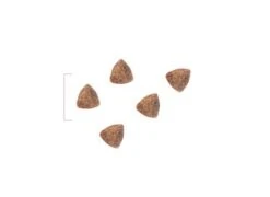 ROYAL CANIN PEDIATRIC STARTER DOG - 12 Kg -Chien Fournitures Boutique croquettes starter