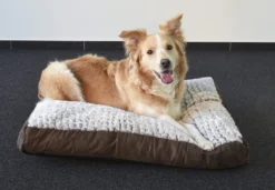 Flamingo Coussin Snoozzy Rectangulaire Fermeture Eclair Brun 80x55x10cm -Chien Fournitures Boutique ddebe20b0518f8cb1ab97d70c10ffd70611da800dd60a449d444ba58ea18165f scaled