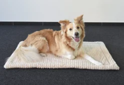 Flamingo Coussin Zupo Plat Rectangulaire Gris 100,5x63x2cm 8 Flamingo Coussin Zupo Plat Rectangulaire Gris 100,5x63x2cm -Chien Fournitures Boutique de5c5c4b160eef4ebe924dd58e302b4a4f13be5b0e2b05e1751b339ca6f7eb58 scaled