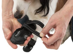 Trixie Chaussures De Protection Walker Active / XL 2pcs. 14 Trixie Chaussures De Protection Walker Active / XL 2pcs. -Chien Fournitures Boutique e08062450bd8a32b408258fb4c31ff7f7447657b0f4f3fa1ecca0f8550d45313 7