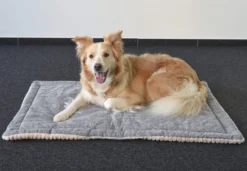 Flamingo Coussin Zupo Plat Rectangulaire Gris 100,5x63x2cm 9 Flamingo Coussin Zupo Plat Rectangulaire Gris 100,5x63x2cm -Chien Fournitures Boutique ed981943eaed3c8161e97a32c795c87794e26981df13a2dc04c0858f21b9fedd scaled