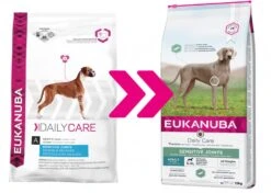 Chien Fournitures Boutique -Chien Fournitures Boutique eukanuba daily care sensitive joints 12kg change