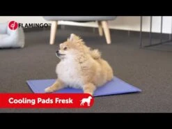 Flamingo Tapis Rafraîchissant Fresk - S (50x40cm) -Chien Fournitures Boutique hqdefault 5 1