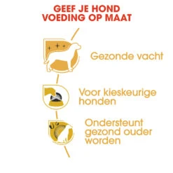 Royal Canin Yorkshire Adult Pour Chien 1,5kg -Chien Fournitures Boutique rc bhn yorkshire cv eretailkit 3 nl nl