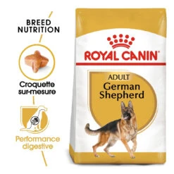 Royal Canin Berger Allemand Adult Pour Chien 11kg -Chien Fournitures Boutique royal canin berger allemand adult german shepherd berger allemand adulte german shepherd 1