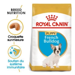 Royal Canin French Bulldog Chiot Pour Chien 10kg -Chien Fournitures Boutique royal canin bouledogue francais puppy bouledogue francais junior 1