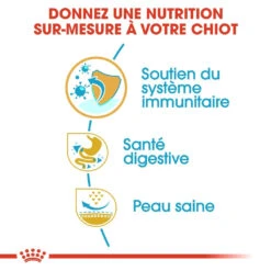 Royal Canin French Bulldog Chiot Pour Chien 10kg -Chien Fournitures Boutique royal canin bouledogue francais puppy bouledogue francais junior 2