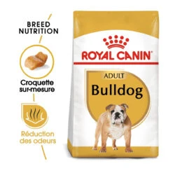 Royal Canin Bulldog Anglais Adult Pour Chien 12kg -Chien Fournitures Boutique royal canin boulldog anglais adult bulldog bouledogue anglais bulldog 1