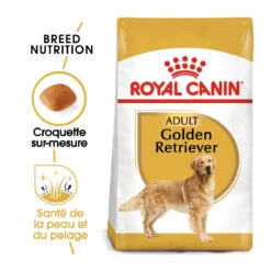Royal Canin Golden Retriever Adult Pour Chien 12kg -Chien Fournitures Boutique royal canin golden retriever adult croquettes pour chien golden retriever 1