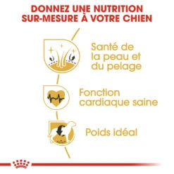 Royal Canin Golden Retriever Adult Pour Chien 12kg -Chien Fournitures Boutique royal canin golden retriever adult croquettes pour chien golden retriever 2