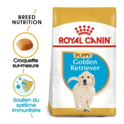 Royal Canin Golden Retriever Chiot Pour Chien 12kg 8 Royal Canin Golden Retriever Chiot Pour Chien 12kg -Chien Fournitures Boutique royal canin golden retriever puppy golden retriever junior 1