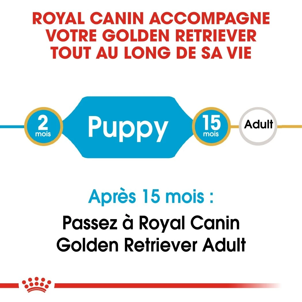 Royal Canin Golden Retriever Chiot Pour Chien 12kg 5 Royal Canin Golden Retriever Chiot Pour Chien 12kg – Image 5