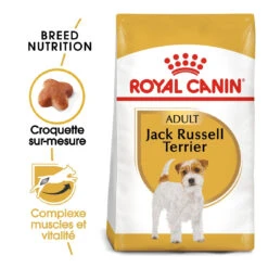 Royal Canin Jack Russell Adult Pour Chien 7,5kg -Chien Fournitures Boutique royal canin jack russell adult jack russell adulte 1