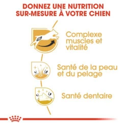 Royal Canin Jack Russell Adult Pour Chien 7,5kg -Chien Fournitures Boutique royal canin jack russell adult jack russell adulte 2