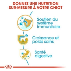 Royal Canin Labrador Retriever Chiot Pour Chien 12kg 7 Royal Canin Labrador Retriever Chiot Pour Chien 12kg -Chien Fournitures Boutique royal canin labrador retriever puppy labrador retriever junior 2 1