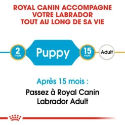 Royal Canin Labrador Retriever Chiot Pour Chien 3kg -Chien Fournitures Boutique royal canin labrador retriever puppy labrador retriever junior 3