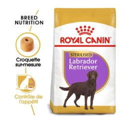 Royal Canin Labrador Retriever Sterilised Adult - 12Kg 7 Royal Canin Labrador Retriever Sterilised Adult - 12Kg -Chien Fournitures Boutique royal canin labrador retriever sterilised adult croquettes pour chien labrador retriever sterilised adult 1