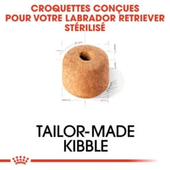 Royal Canin Labrador Retriever Sterilised Adult - 12Kg 9 Royal Canin Labrador Retriever Sterilised Adult - 12Kg -Chien Fournitures Boutique royal canin labrador retriever sterilised adult croquettes pour chien labrador retriever sterilised adult 3