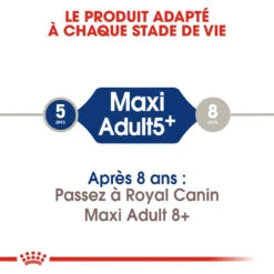 Royal Canin Maxi Adult 5+ Pour Chien 10kg -Chien Fournitures Boutique royal canin maxi adult croquettes pour chien maxi adult 2 1