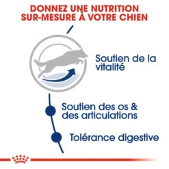 Royal Canin Maxi Adult 5+ Pour Chien 10kg -Chien Fournitures Boutique royal canin maxi adult croquettes pour chien maxi adult 3 1