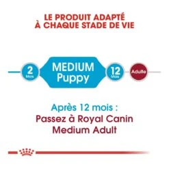 Royal Canin Medium Junior Pour Chien 7 Royal Canin Medium Junior Pour Chien -Chien Fournitures Boutique royal canin medium puppy croquettes pour chiot medium puppy 2 1