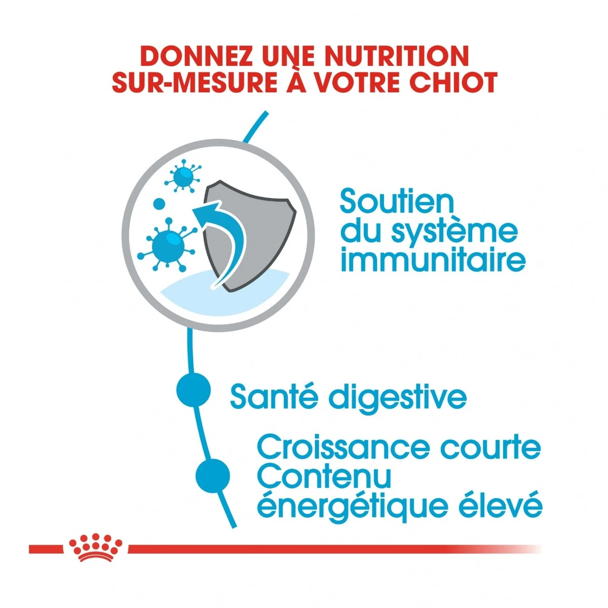 Royal Canin Medium Junior Pour Chien 4 Royal Canin Medium Junior Pour Chien – Image 4