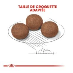 Royal Canin Medium Junior Pour Chien 9 Royal Canin Medium Junior Pour Chien -Chien Fournitures Boutique royal canin medium puppy croquettes pour chiot medium puppy 4 1