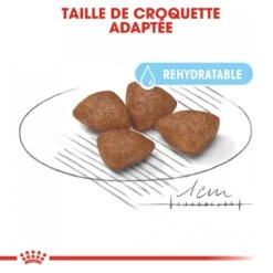 Royal Canin Mini Starter Mother & Babydog - 8Kg -Chien Fournitures Boutique royal canin mini starter mini starter 2