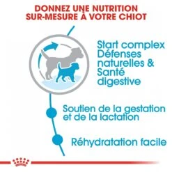 Royal Canin Mini Starter Mother & Babydog - 8Kg -Chien Fournitures Boutique royal canin mini starter mini starter 3