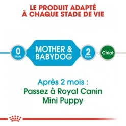 Royal Canin Mini Starter Mother & Babydog - 8Kg -Chien Fournitures Boutique royal canin mini starter mini starter 4