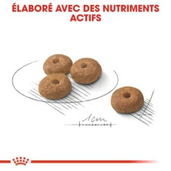 Royal Canin Sterilised Mini Adult Pour Chien 8kg -Chien Fournitures Boutique royal canin mini sterilised croquettes pour chien mini sterilised 2 2
