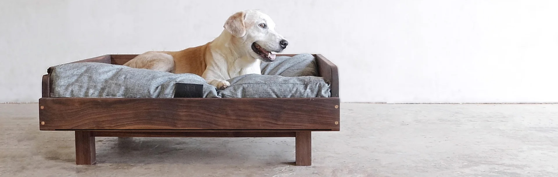 Chien Fournitures Boutique -Chien Fournitures Boutique 2